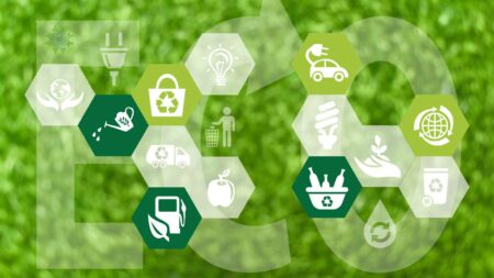 ecologia nel mondo